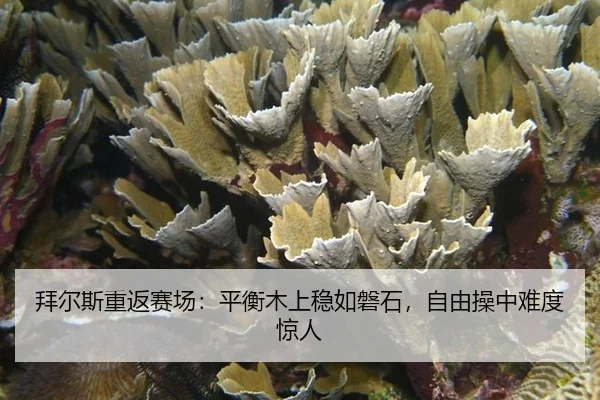 bai-er-si-chong-fan-sai-chang-ping-heng-mu-shang-wen-ru-pan-shi-zi-you-cao-zhong-nan-du-jing-ren-3-343.jpg